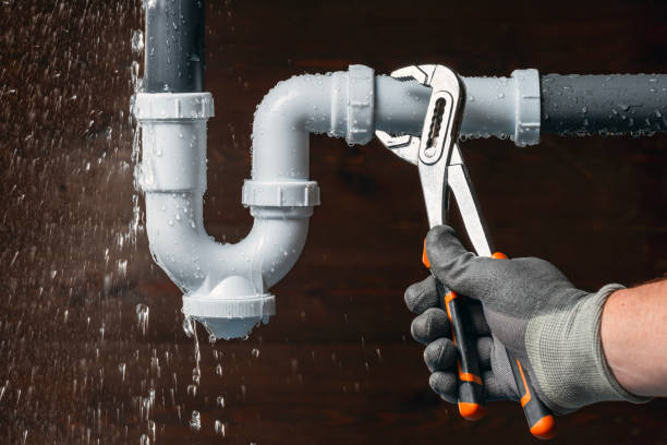 Professional Plumbing technician working in Woodworth, WI